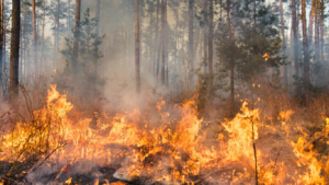 Irritación ocular por el humo de los incendios forestales