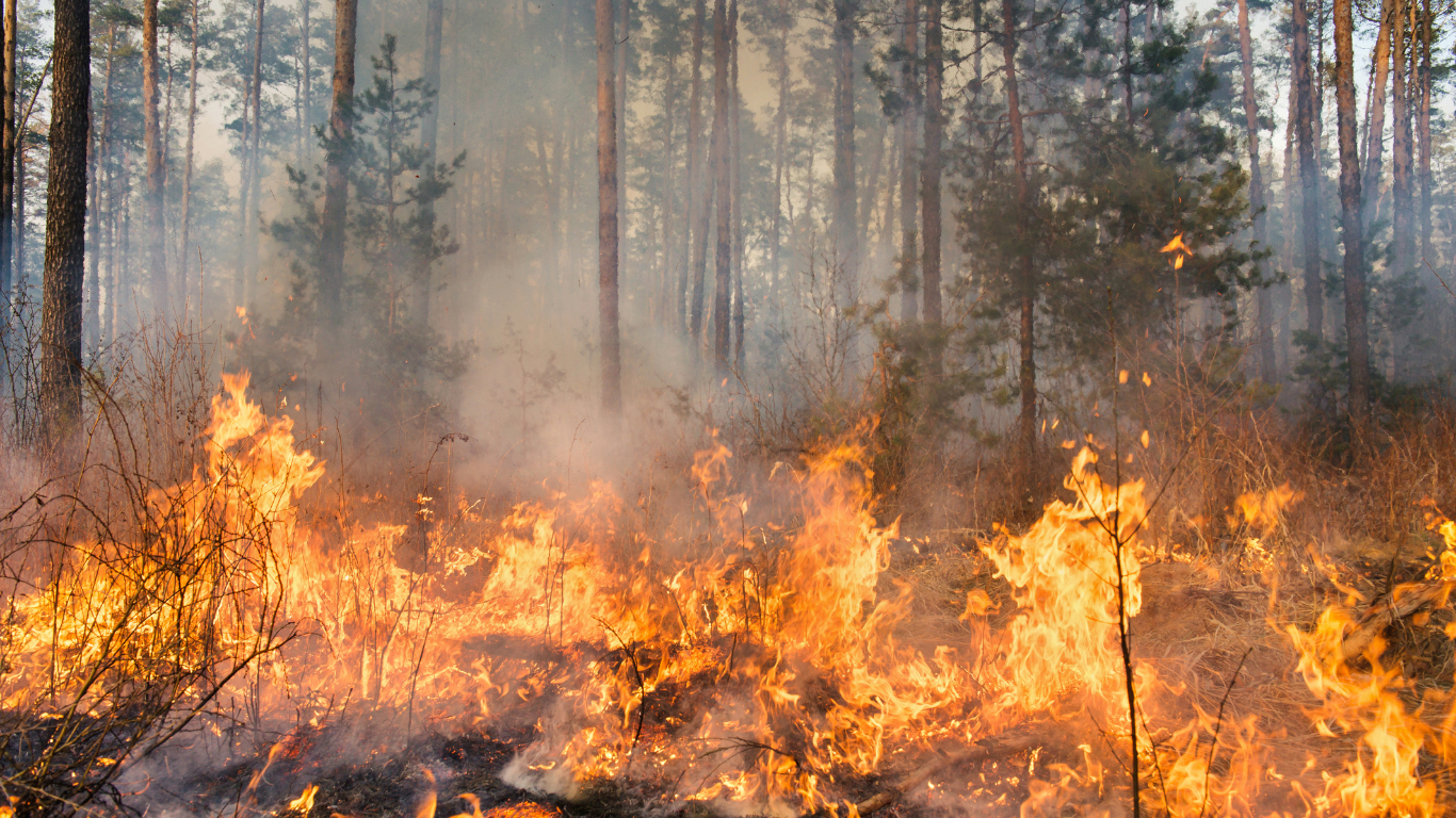 Irritación ocular por el humo de los incendios forestales